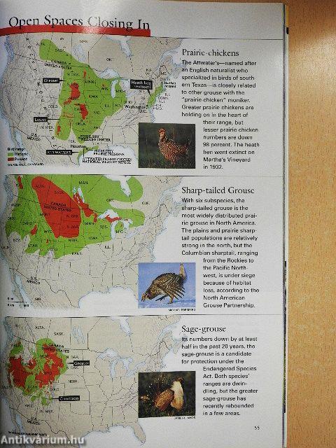 National Geographic March 2002