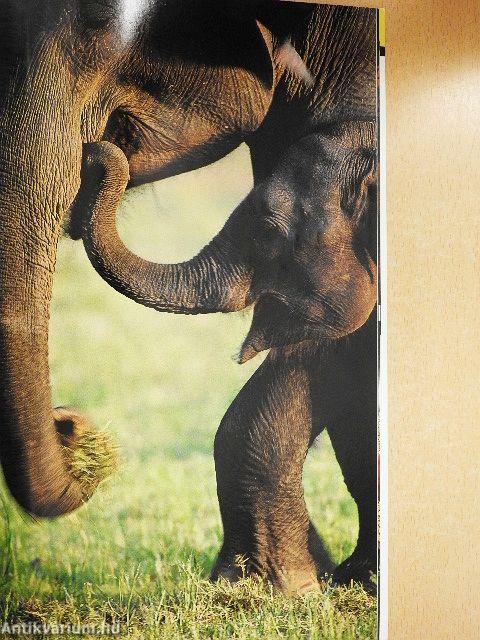 National Geographic January 2002