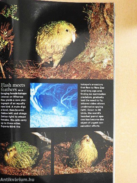 National Geographic October 2002