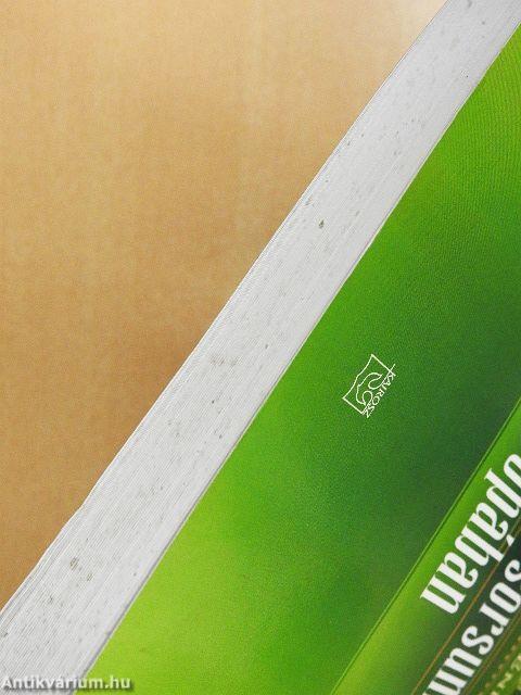 Helyünk és sorsunk Európában