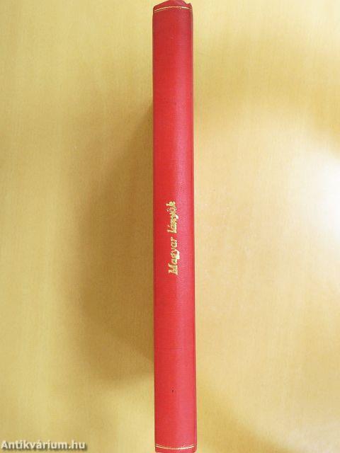 Magyar Lányok 1911., 1913-1916. (vegyes számok) (21 db)