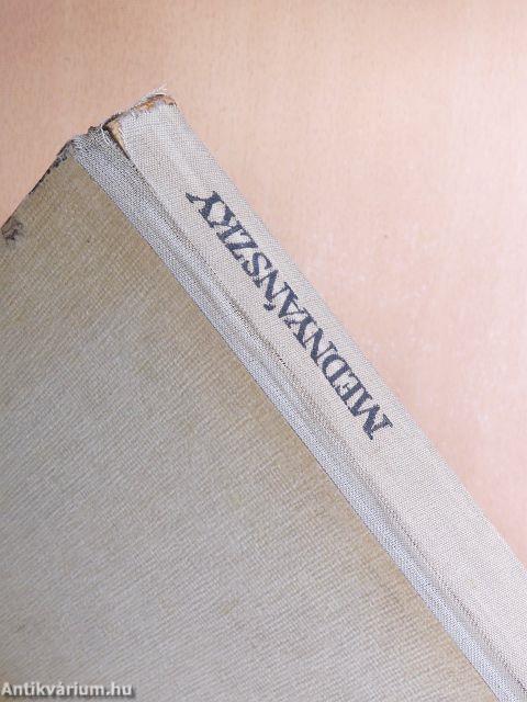 Mednyánszky László