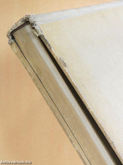 Mednyánszky László