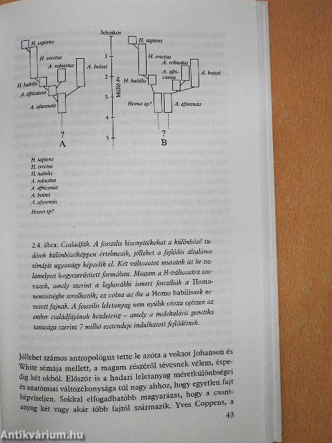 Az emberiség eredete