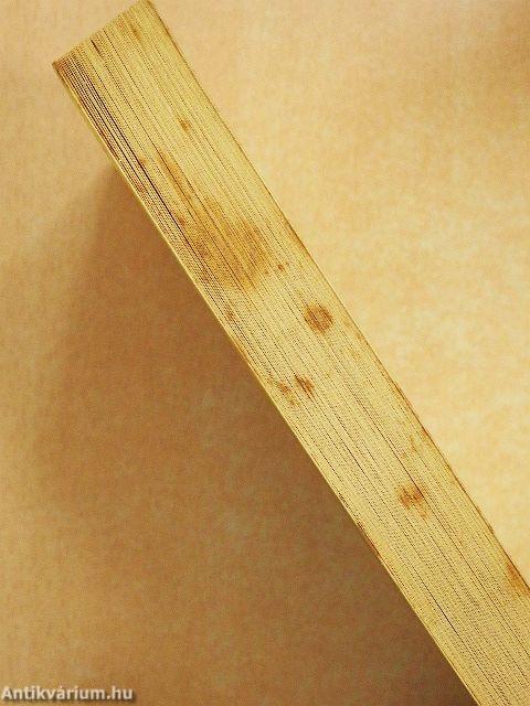 A Néma Revolverek Városa