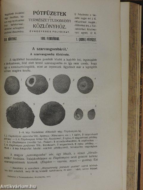 Természettudományi Közlöny 1910. január-december/Pótfüzetek a Természettudományi Közlönyhöz 1910-1911. (nem teljes évfolyam)