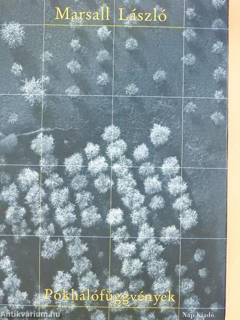 Pókhálófüggvények (dedikált példány)