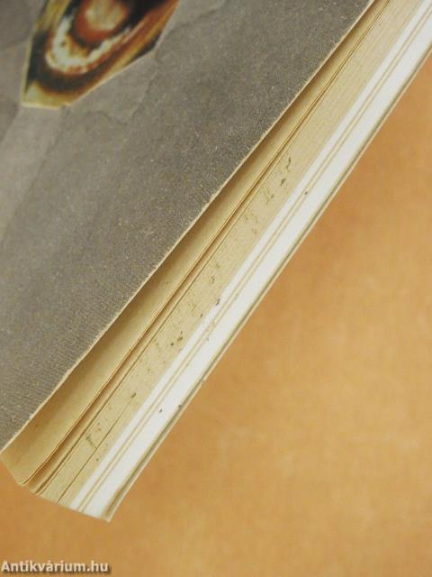 A szókimondás évada (többszörösen dedikált példány)