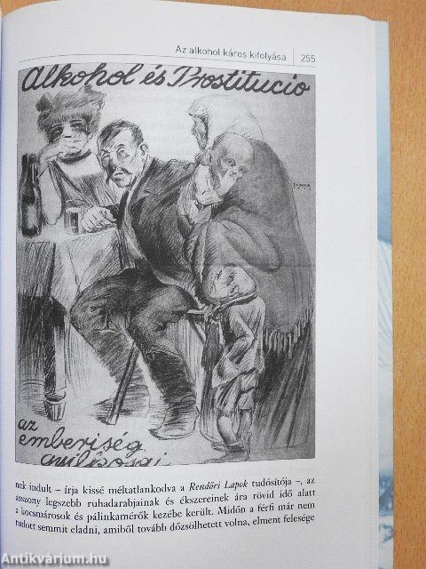 Turulmadár fenn az égen