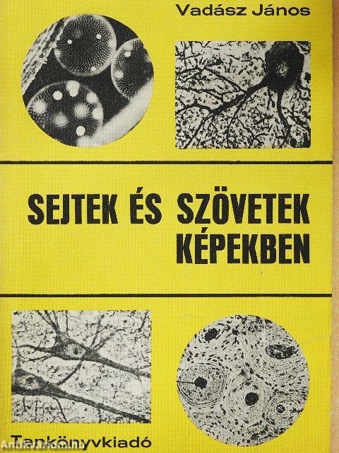 Sejtek és szövetek képekben