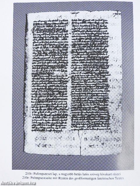 Az európai prédikációirodalom recepciója a Leuveni Kódexben