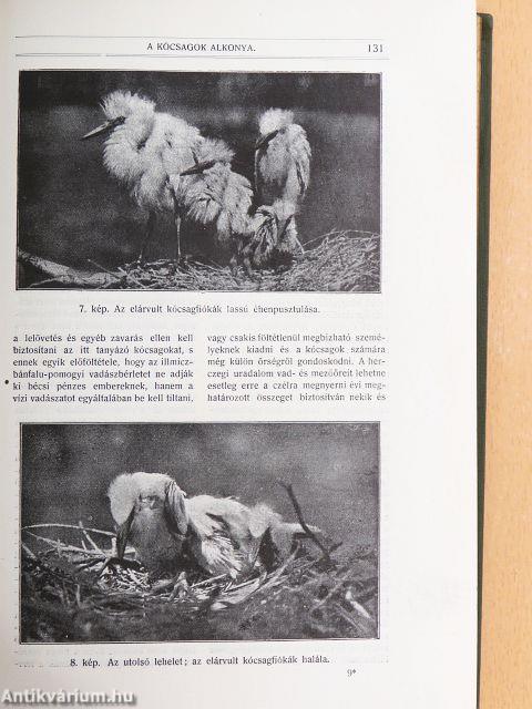 Természettudományi Közlöny 1917. január-december/Pótfüzetek a Természettudományi Közlönyhöz 1917. január-december