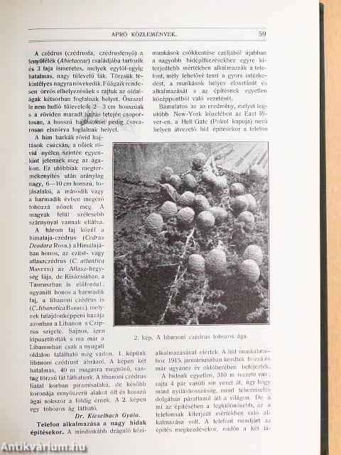 Természettudományi Közlöny 1917. január-december/Pótfüzetek a Természettudományi Közlönyhöz 1917. január-december