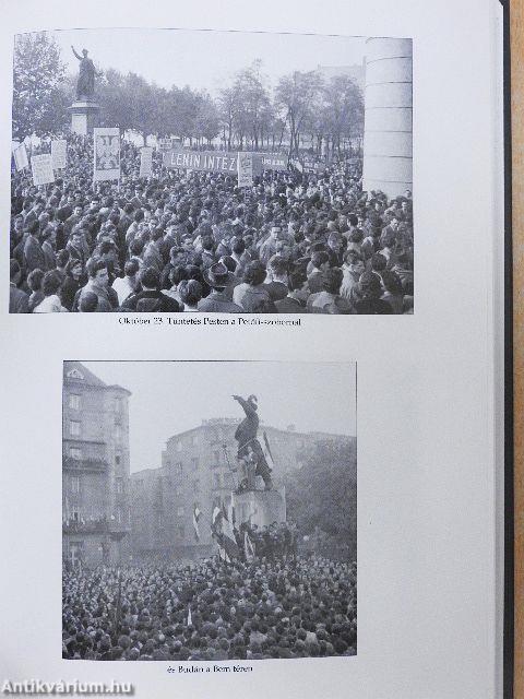 1956 hadikrónikája