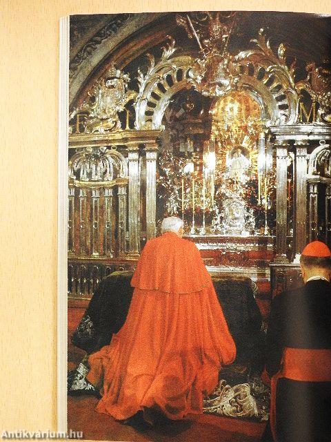 II. János Pál Ausztriában