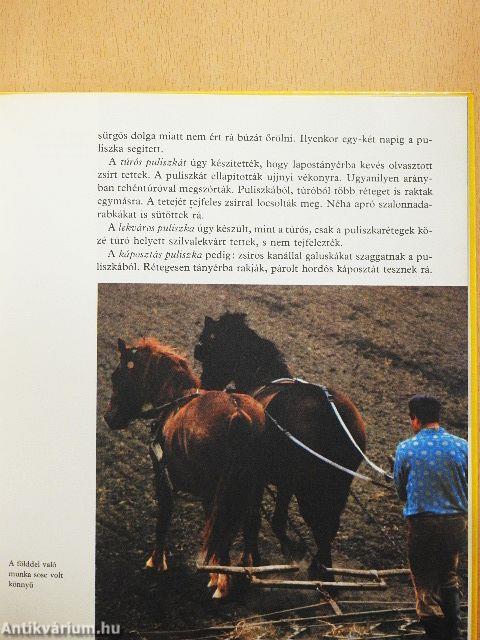 Terülj, asztalkám!