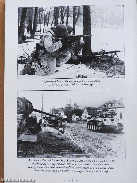 Kard a pajzs mögött