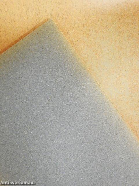 Hódmezővásárhely 1985