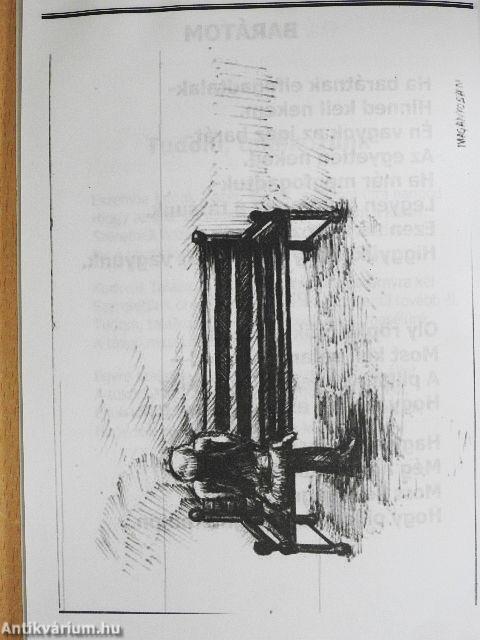 Emlékeim vigasztaljatok II.