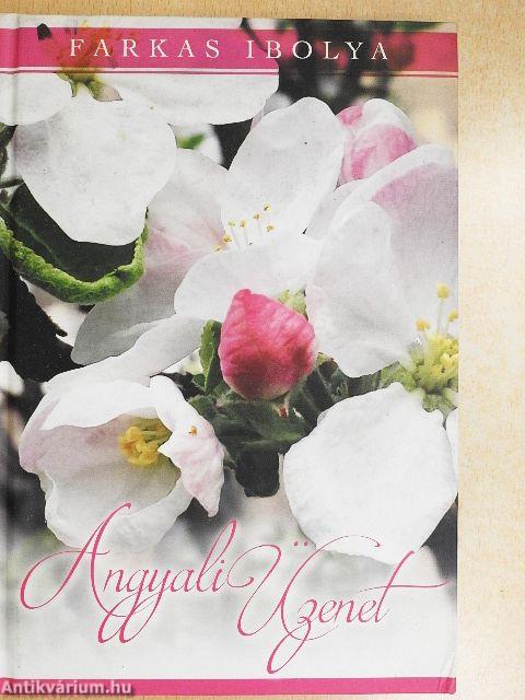 Angyali üzenet - CD-vel