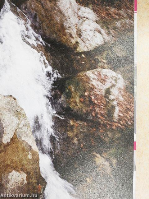 Angyali üzenet - CD-vel