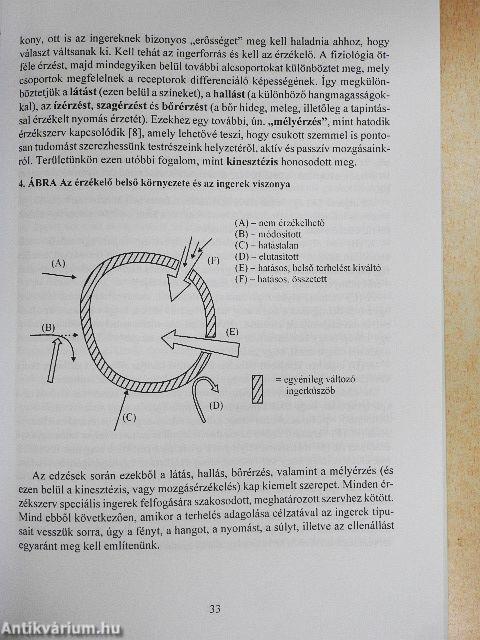 Az általános edzéselmélet és módszertan alapjai I-II.