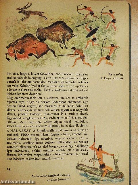 Történelem 5.