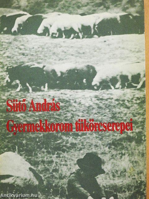 Gyermekkorom tükörcserepei
