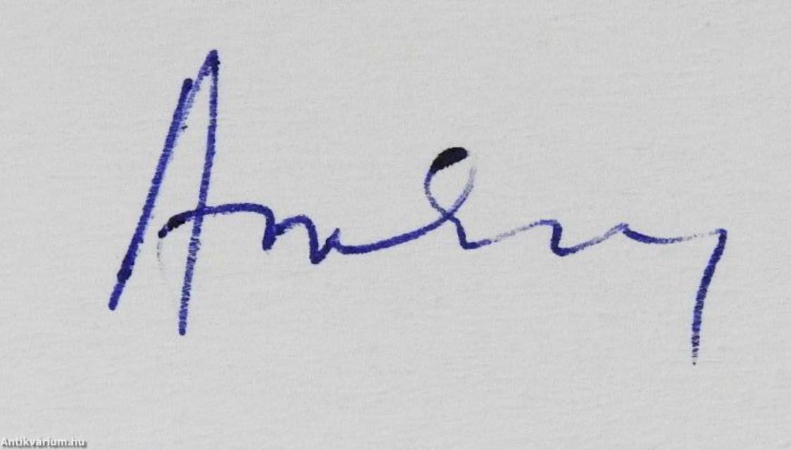 Románok a történeti Magyarországon (dedikált példány)