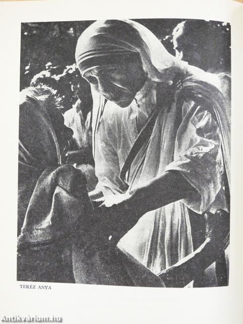 Vasárnapi könyvünk A év (dedikált példány)