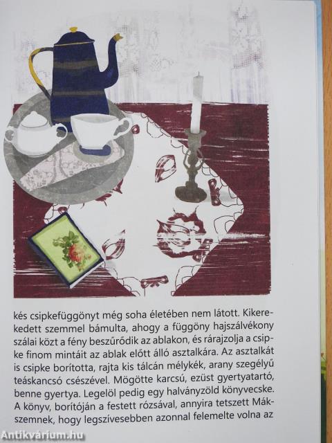 Mákszem és Gubó eltűnődik (dedikált példány)