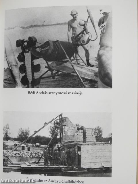 Aranymosás a Kárpát-medencében (dedikált példány)