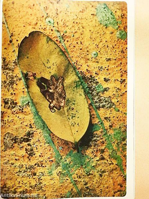 National Geographic April 1977