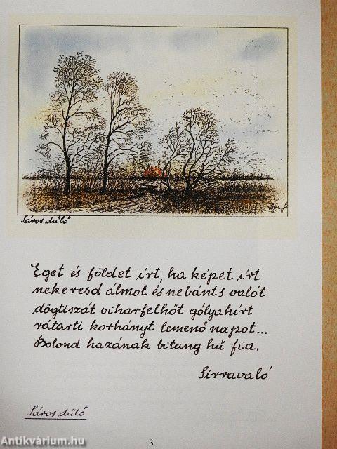 Vajnai János vásárhelyi Pákozdy Ferenc emlékére