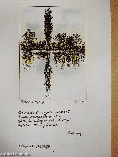 Vajnai János vásárhelyi Pákozdy Ferenc emlékére