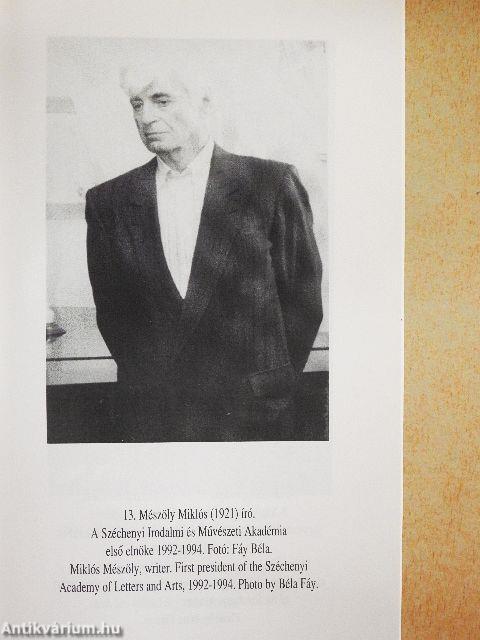 A Magyar Tudományos Akadémia és a Széptudományok