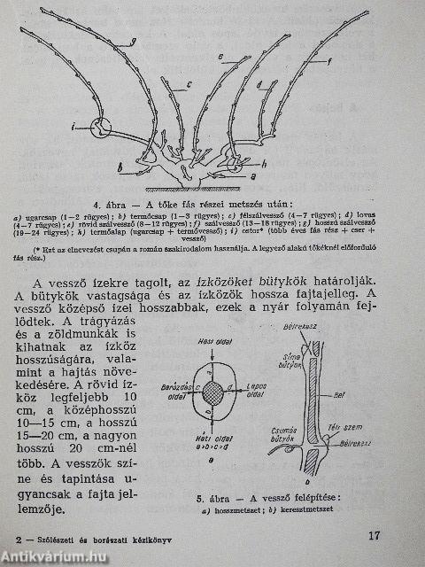 Szőlészeti és borászati kézikönyv