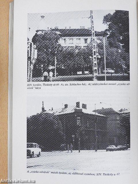 Magyarország 1944 - Német megszállás