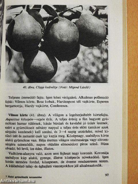 Nyári gyümölcsök termesztése