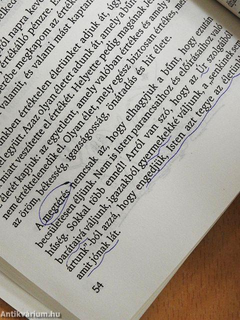 Menjetek és hirdessétek az Evangéliumot a megkeresztelteknek!