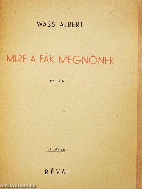 Mire a fák megnőnek