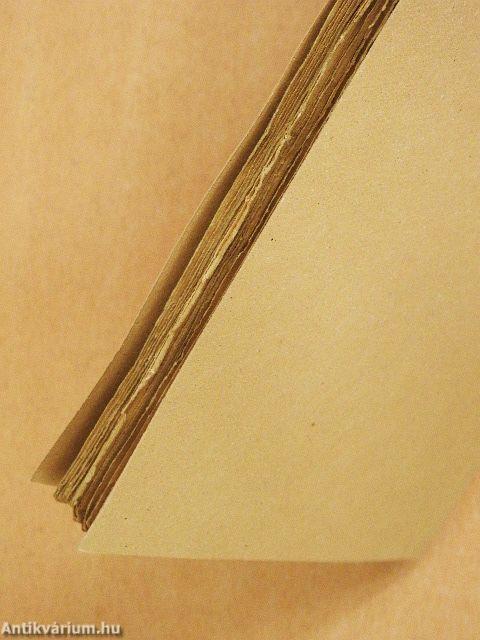 Mindent legyőz a szerelem