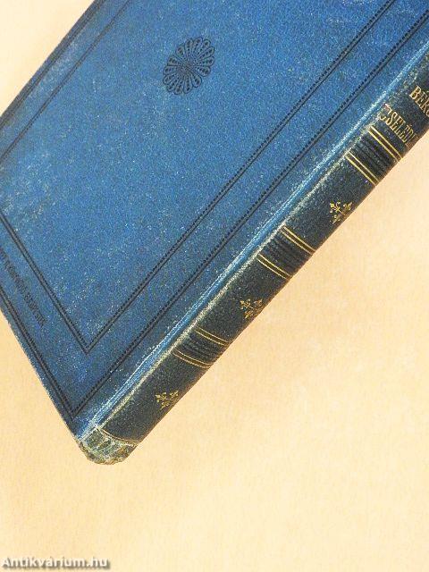 A bérgazda cselédleánya