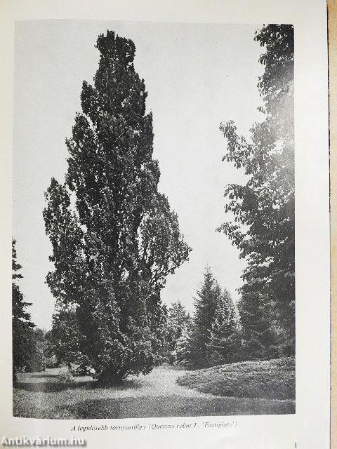 A szarvasi arborétum