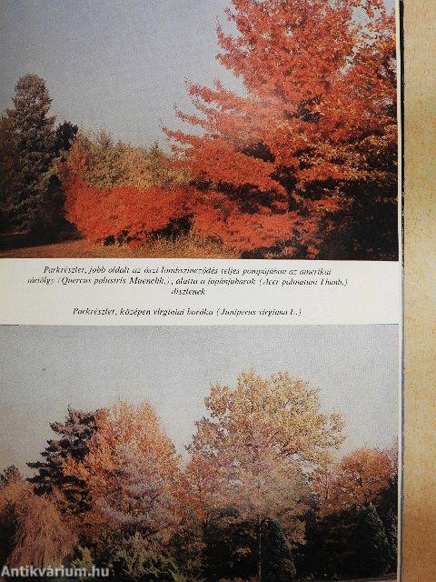 A szarvasi arborétum