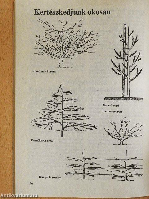 Kertészkedjünk okosan!