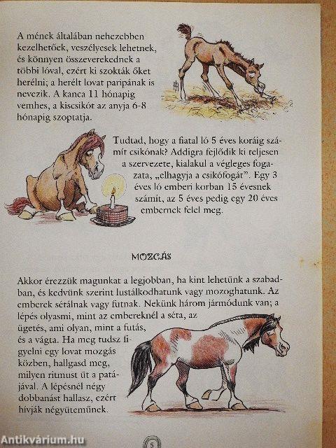 Első lovas könyvem