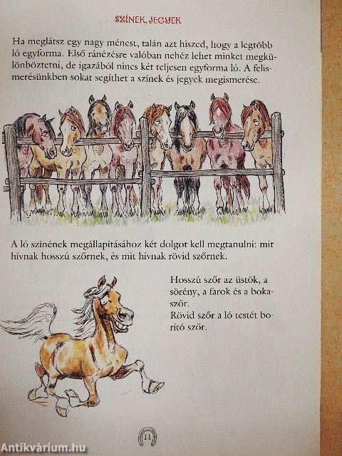 Első lovas könyvem