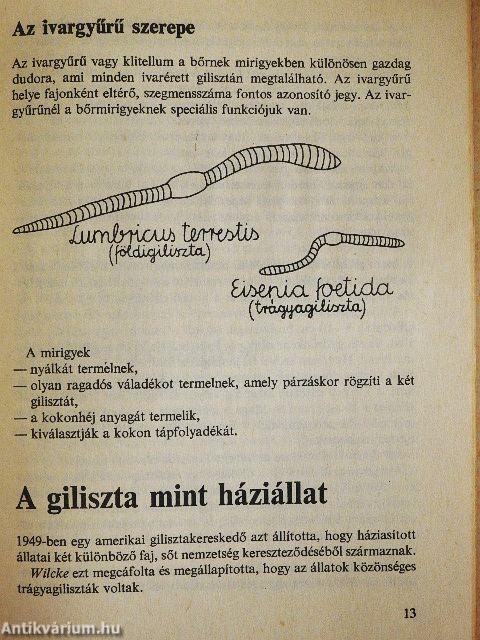 Gilisztatenyésztés a biokertben