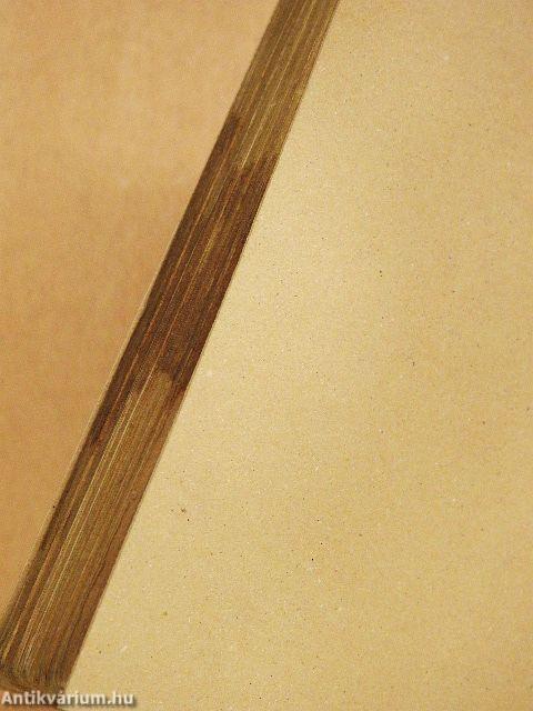 A különös jövevény